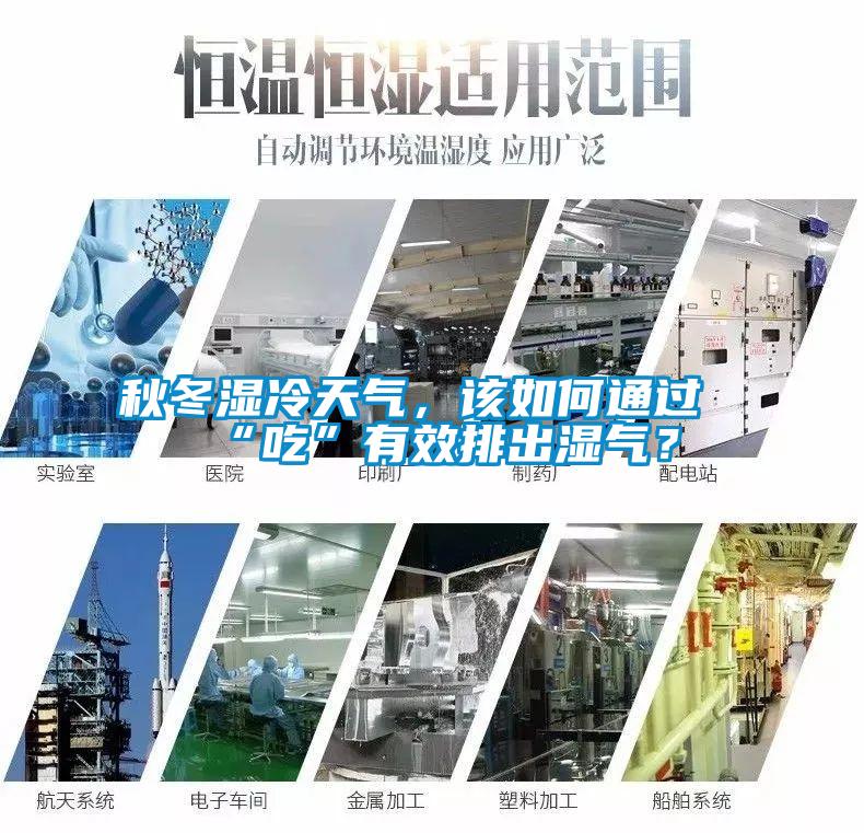 秋冬濕冷天氣，該如何通過“吃”有效排出濕氣？