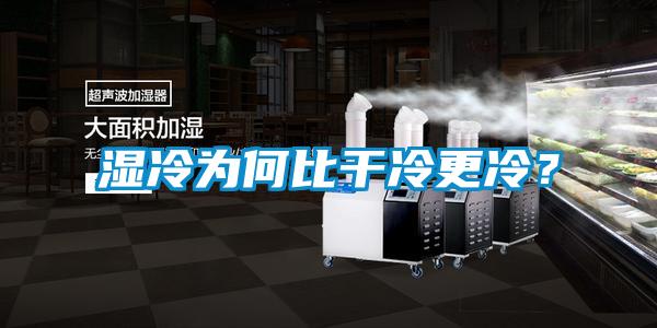 濕冷為何比干冷更冷？