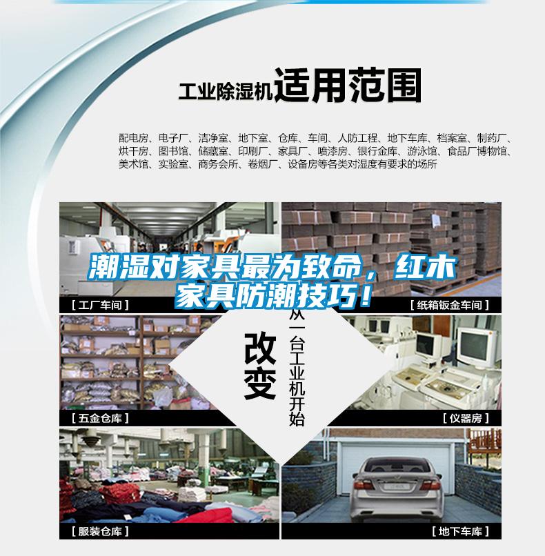 潮濕對家具最為致命，紅木家具防潮技巧！