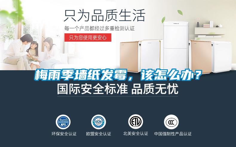 梅雨季墻紙發(fā)霉，該怎么辦？