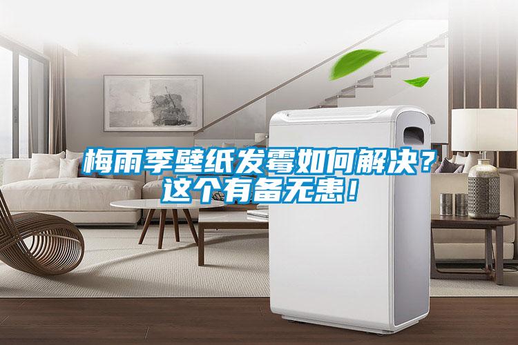 梅雨季壁紙發(fā)霉如何解決？這個(gè)有備無(wú)患！