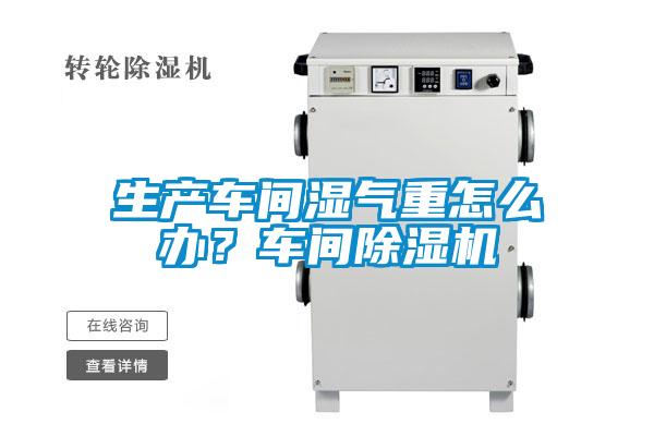 生產(chǎn)車間濕氣重怎么辦？車間除濕機(jī)