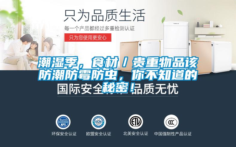 潮濕季，食材／貴重物品該防潮防霉防蟲，你不知道的秘密！