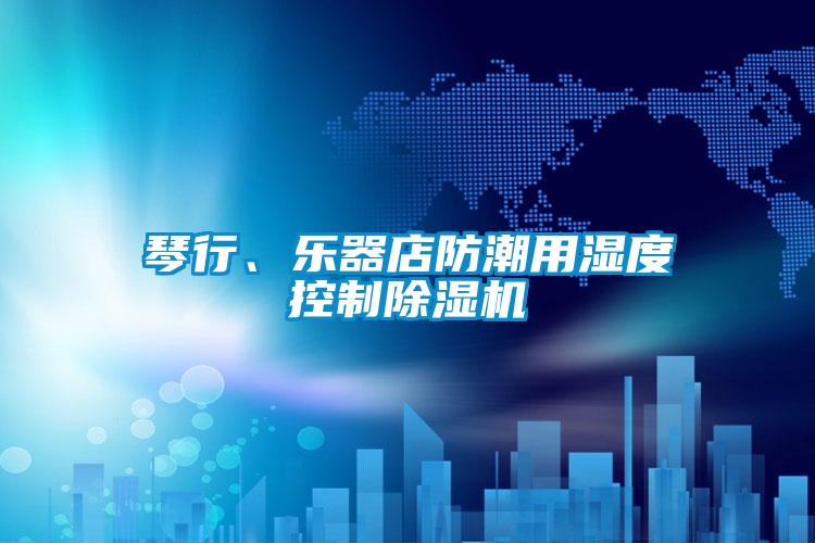 琴行、樂器店防潮用濕度控制除濕機(jī)