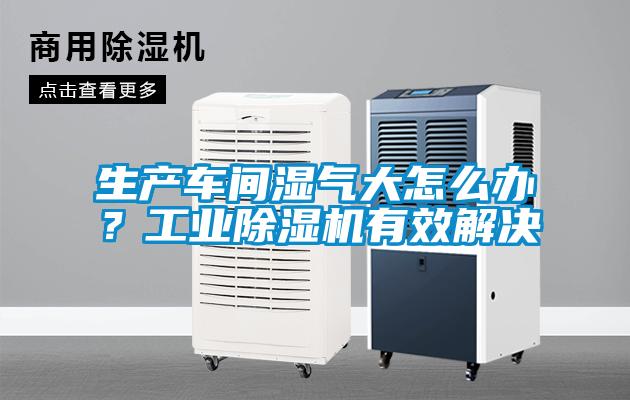 生產(chǎn)車間濕氣大怎么辦？工業(yè)除濕機有效解決
