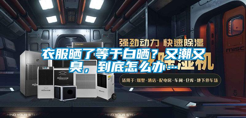 衣服曬了等于白曬？又潮又臭，到底怎么辦…