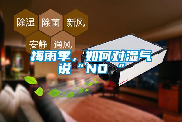 梅雨季，如何對(duì)濕氣說“NO ”