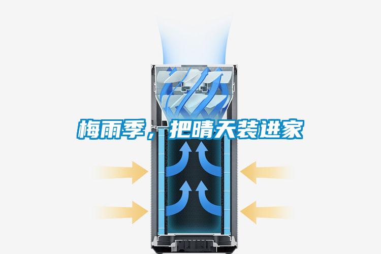 梅雨季，把晴天裝進家