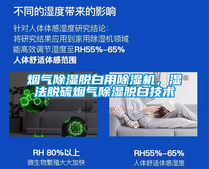 煙氣除濕脫白用除濕機(jī)，濕法脫硫煙氣除濕脫白技術(shù)