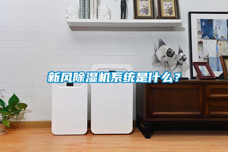 新風(fēng)除濕機系統(tǒng)是什么？