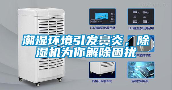潮濕環(huán)境引發(fā)鼻炎，除濕機為你解除困擾