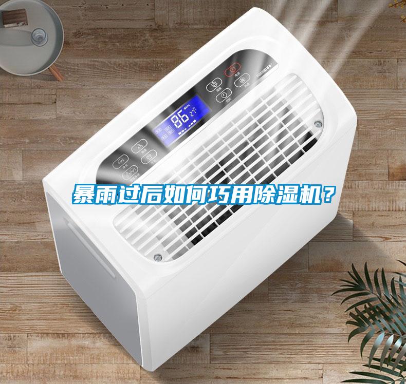 暴雨過后如何巧用除濕機？