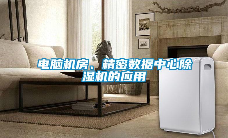 電腦機(jī)房、精密數(shù)據(jù)中心除濕機(jī)的應(yīng)用