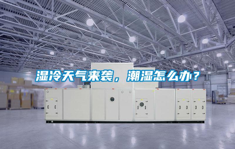 濕冷天氣來襲，潮濕怎么辦？