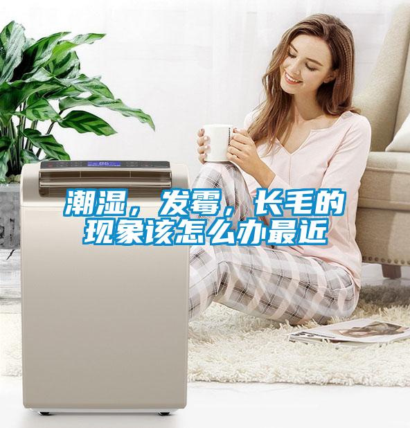 潮濕，發(fā)霉，長(zhǎng)毛的現(xiàn)象該怎么辦最近