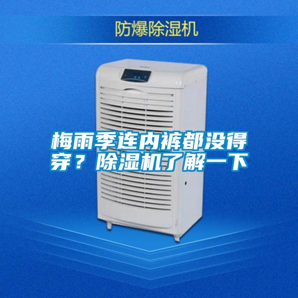 梅雨季連內(nèi)褲都沒(méi)得穿？除濕機(jī)了解一下