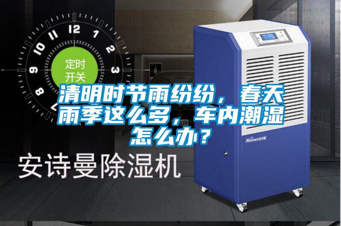 清明時節(jié)雨紛紛，春天雨季這么多，車內(nèi)潮濕怎么辦？