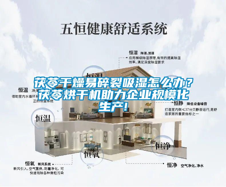 茯苓干燥易碎裂吸濕怎么辦？茯苓烘干機助力企業(yè)規(guī)?；a(chǎn)!