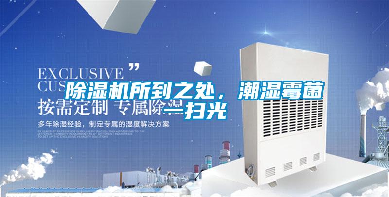 除濕機所到之處，潮濕霉菌一掃光
