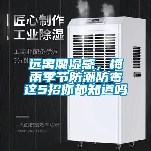 遠離潮濕感，梅雨季節(jié)防潮防霉這5招你都知道嗎