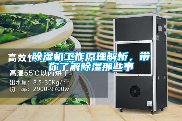 除濕機工作原理解析，帶你了解除濕那些事