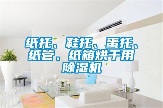 紙托、鞋托、蛋托、紙管、紙箱烘干用除濕機(jī)