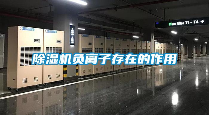 除濕機負(fù)離子存在的作用