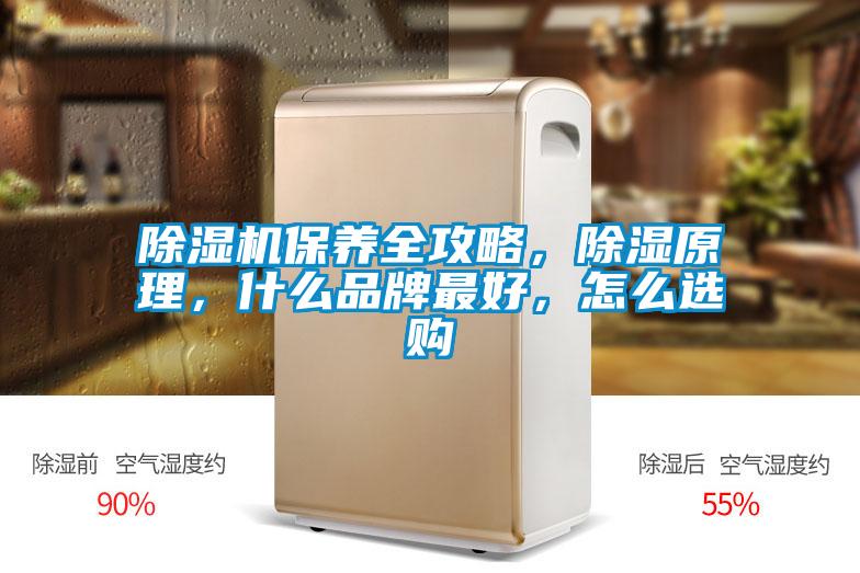 除濕機(jī)保養(yǎng)全攻略，除濕原理，什么品牌最好，怎么選購(gòu)