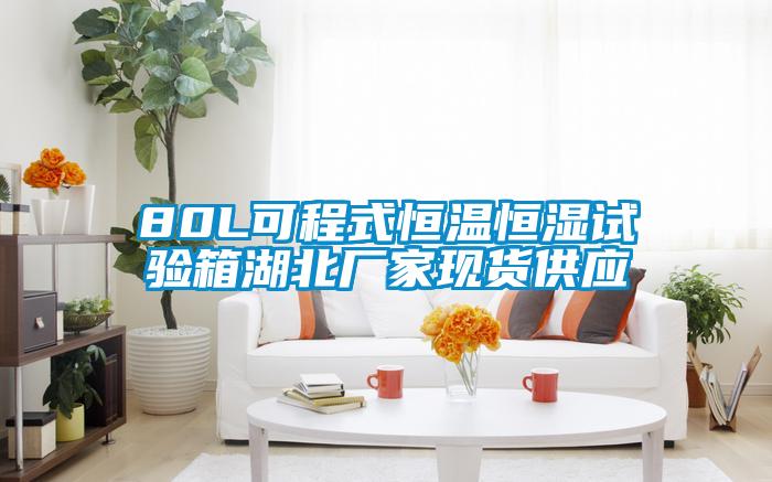80L可程式恒溫恒濕試驗箱湖北廠家現(xiàn)貨供應(yīng)