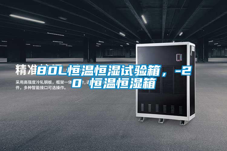 80L恒溫恒濕試驗箱，-20℃恒溫恒濕箱