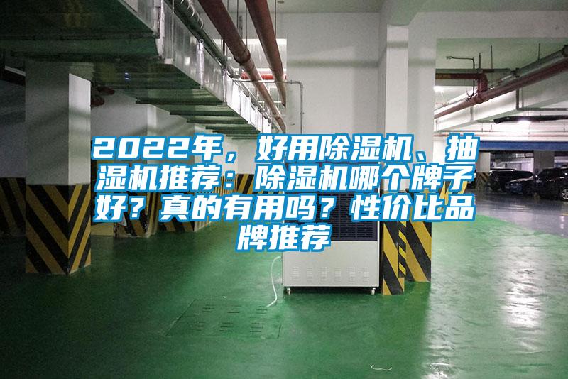 2022年，好用除濕機、抽濕機推薦：除濕機哪個牌子好？真的有用嗎？性價比品牌推薦