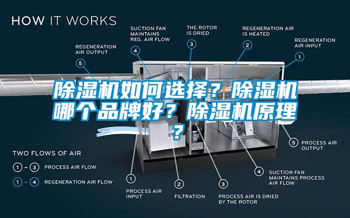 除濕機如何選擇？除濕機哪個品牌好？除濕機原理？