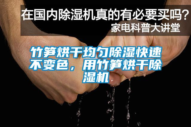 竹筍烘干均勻除濕快速不變色，用竹筍烘干除濕機