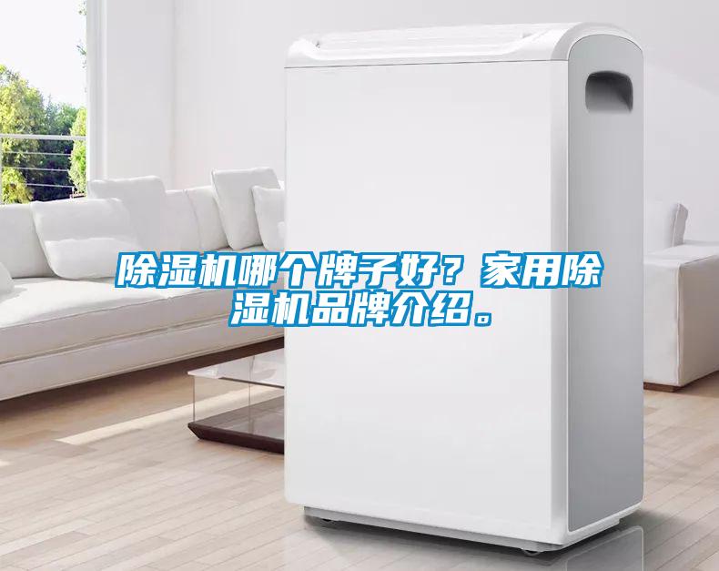 除濕機(jī)哪個(gè)牌子好？家用除濕機(jī)品牌介紹。