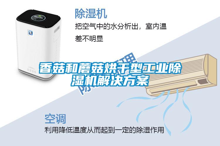 香菇和蘑菇烘干型工業(yè)除濕機解決方案