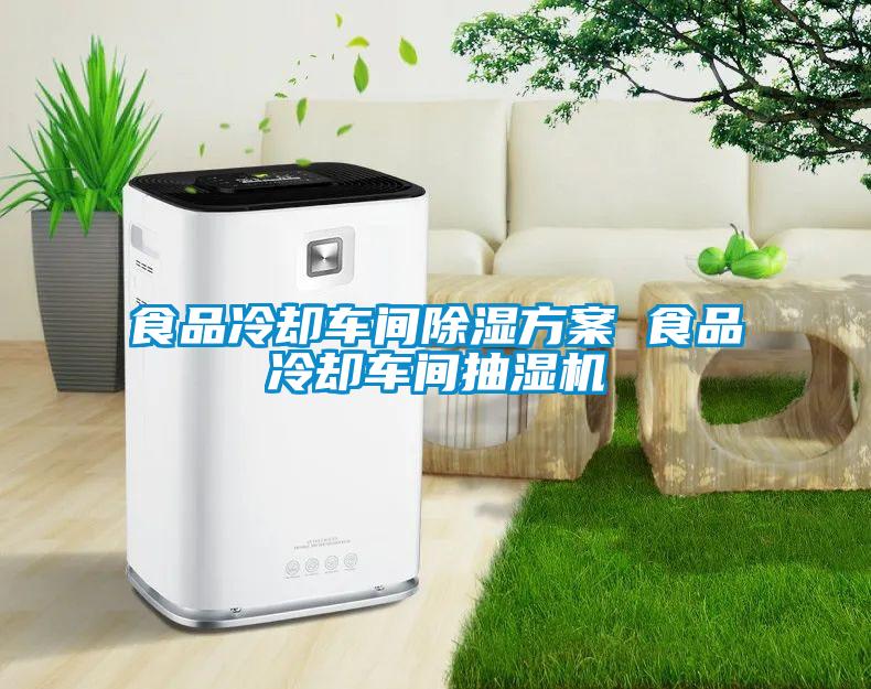 食品冷卻車(chē)間除濕方案 食品冷卻車(chē)間抽濕機(jī)