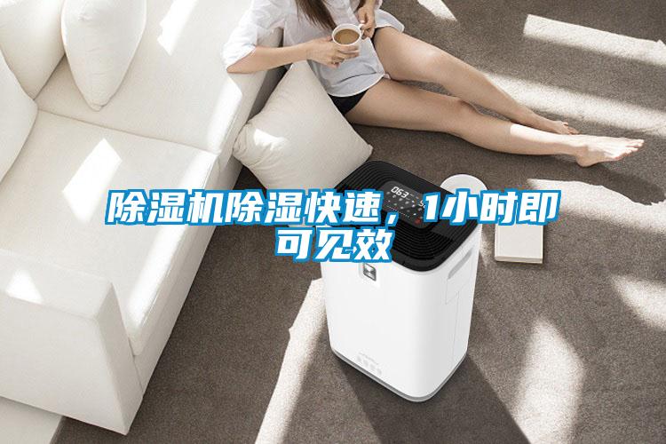 除濕機(jī)除濕快速，1小時即可見效