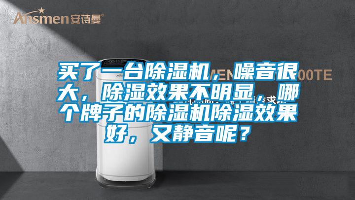 買了一臺除濕機，噪音很大，除濕效果不明顯，哪個牌子的除濕機除濕效果好，又靜音呢？