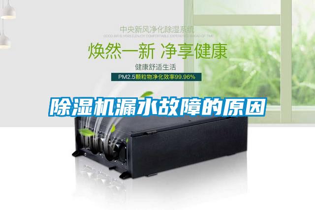 除濕機(jī)漏水故障的原因