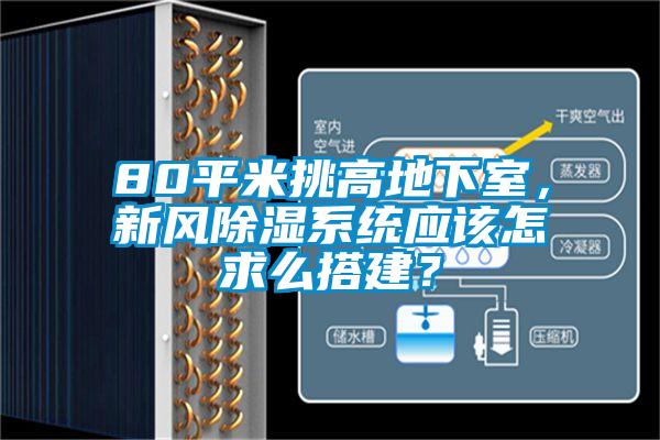 80平米挑高地下室，新風(fēng)除濕系統(tǒng)應(yīng)該怎求么搭建？