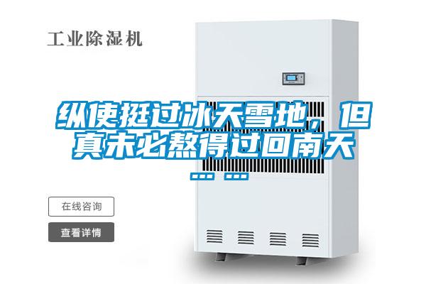縱使挺過冰天雪地，但真未必熬得過回南天……