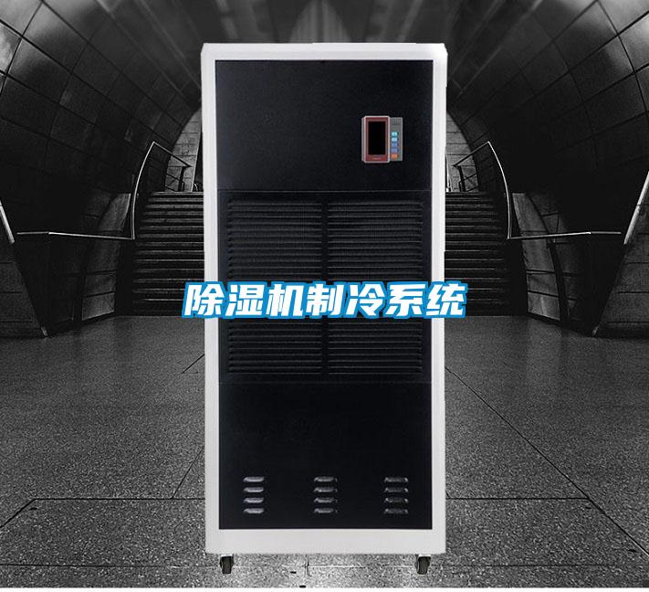 除濕機制冷系統(tǒng)