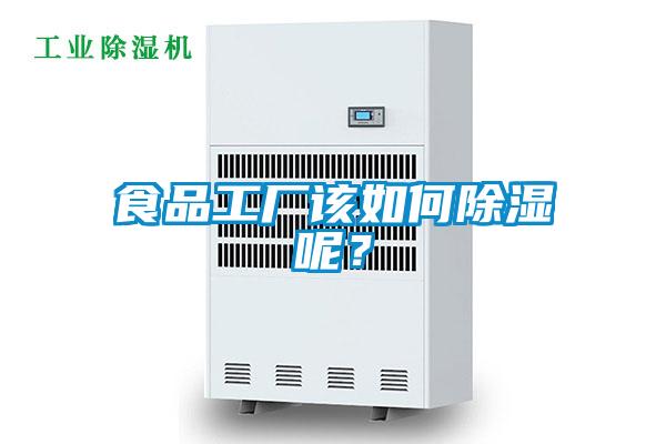 食品工廠該如何除濕呢？