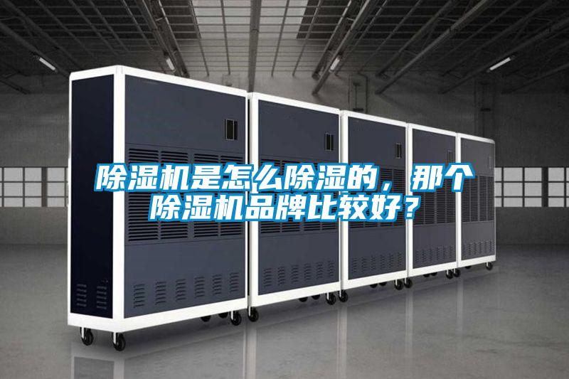 除濕機是怎么除濕的，那個除濕機品牌比較好？