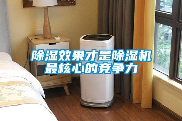 除濕效果才是除濕機(jī)最核心的競爭力