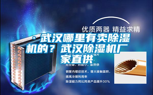 ·武漢哪里有賣除濕機(jī)的？武漢除濕機(jī)廠家直供