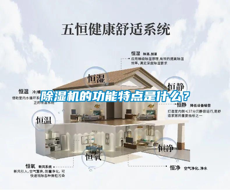除濕機(jī)的功能特點(diǎn)是什么？