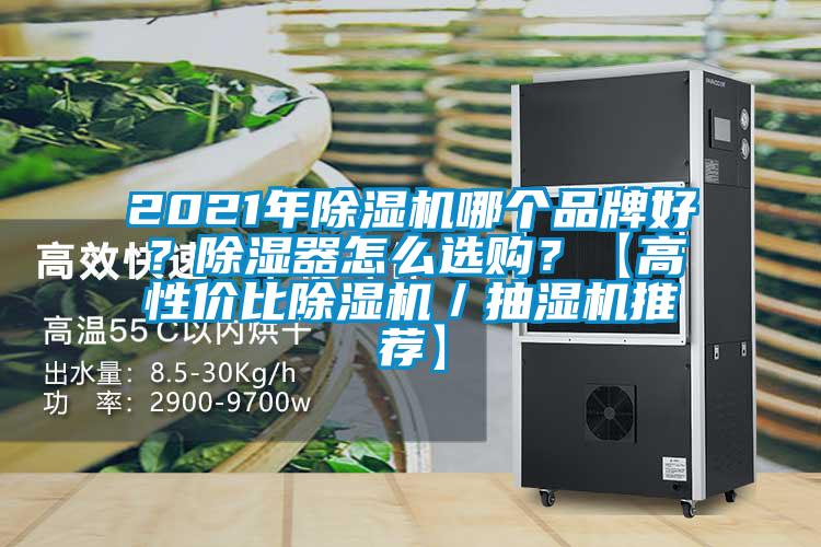 2021年除濕機(jī)哪個(gè)品牌好？除濕器怎么選購(gòu)？【高性價(jià)比除濕機(jī)／抽濕機(jī)推薦】