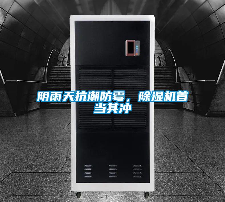 陰雨天抗潮防霉，除濕機(jī)首當(dāng)其沖