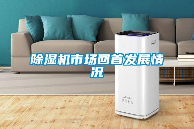 除濕機(jī)市場回首發(fā)展情況